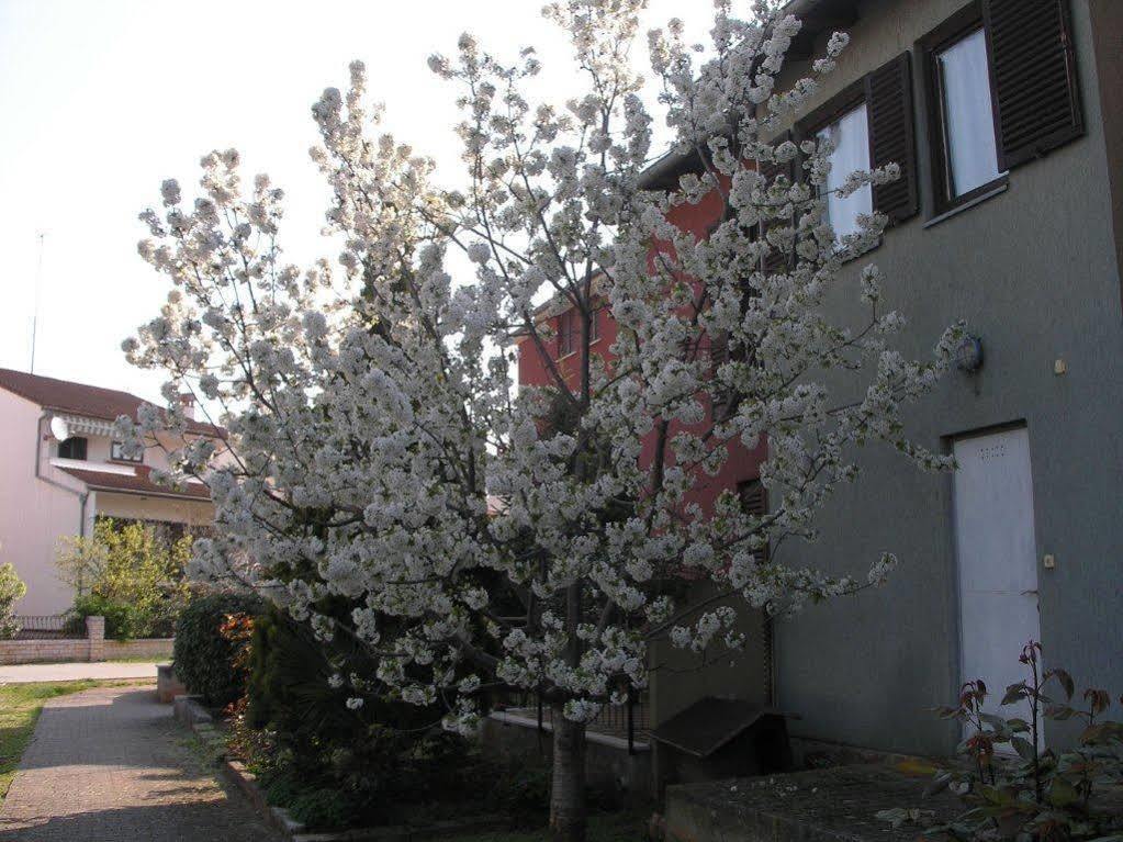Apartment Cherry Rovinj Luaran gambar